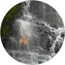 Alejandro Eduardo Salvarredy profile picture